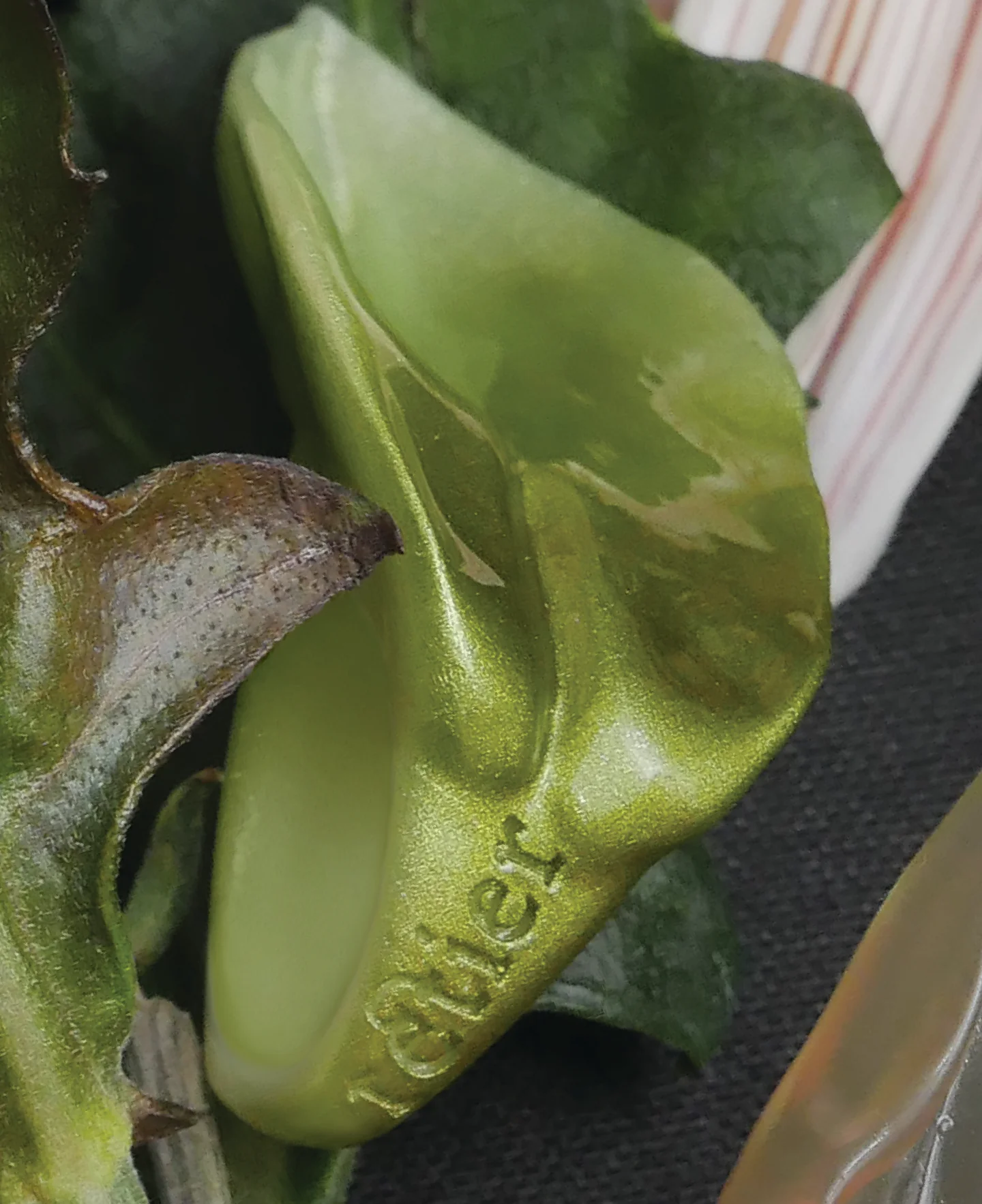 Green Manso Facto - Image 4