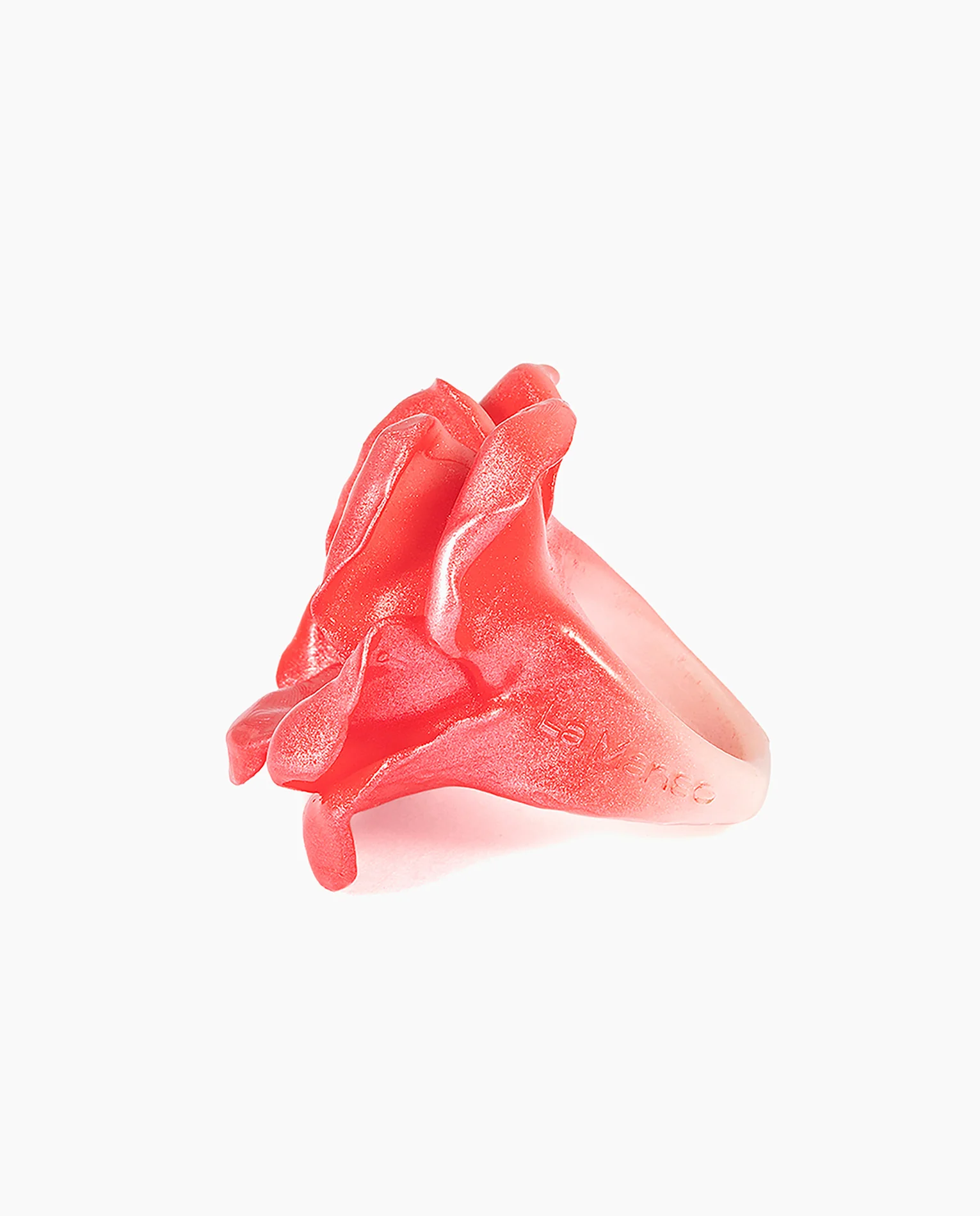 Rosa, Rosa - Image 4