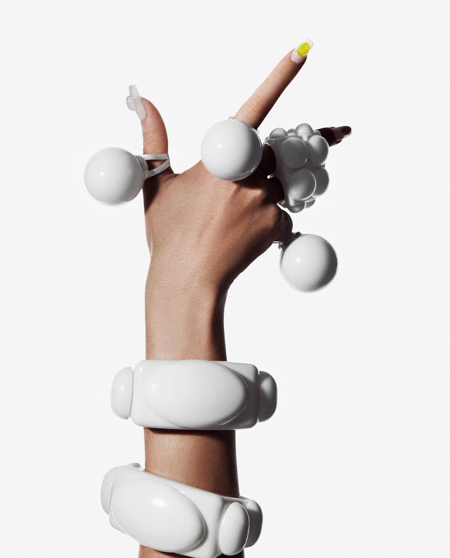 Siamés marfil - Image 4