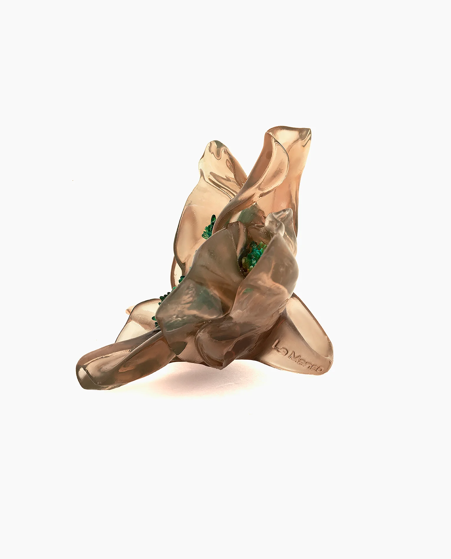 Tempus Florit, BB - Image 5